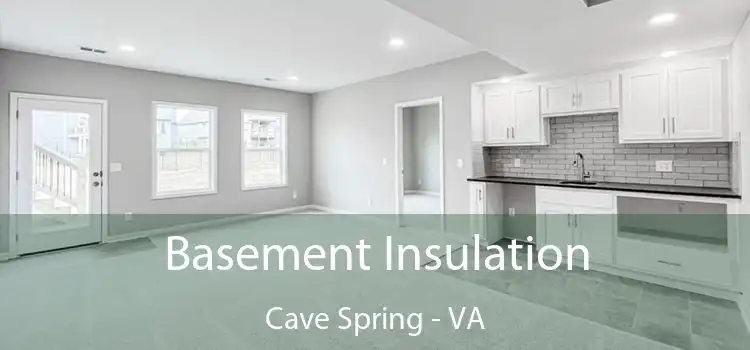 Basement Insulation Cave Spring - VA