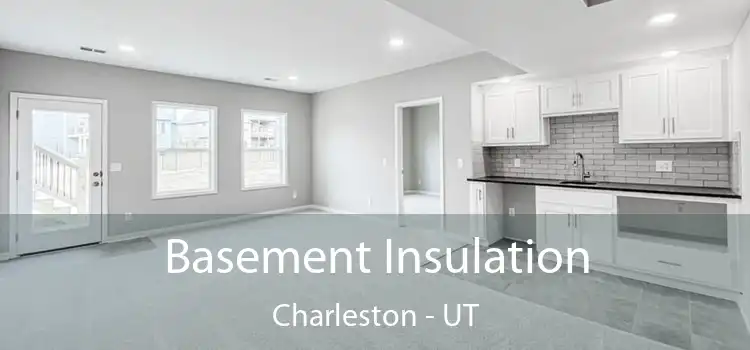 Basement Insulation Charleston - UT