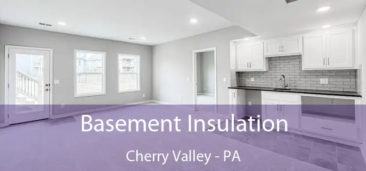 Basement Insulation Cherry Valley - PA