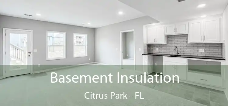 Basement Insulation Citrus Park - FL