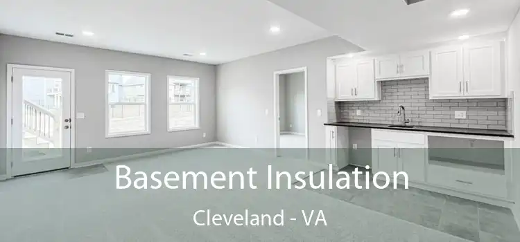 Basement Insulation Cleveland - VA