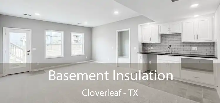Basement Insulation Cloverleaf - TX