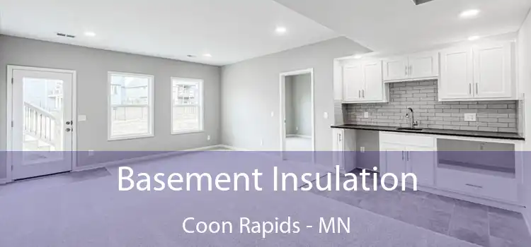  Basement Insulation Coon Rapids - MN