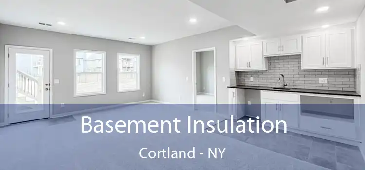  Basement Insulation Cortland - NY