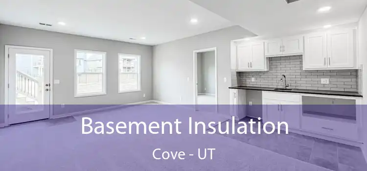 Basement Insulation Cove - UT