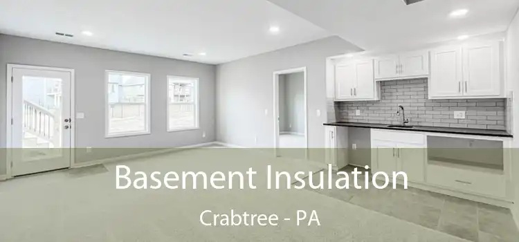 Basement Insulation Crabtree - PA
