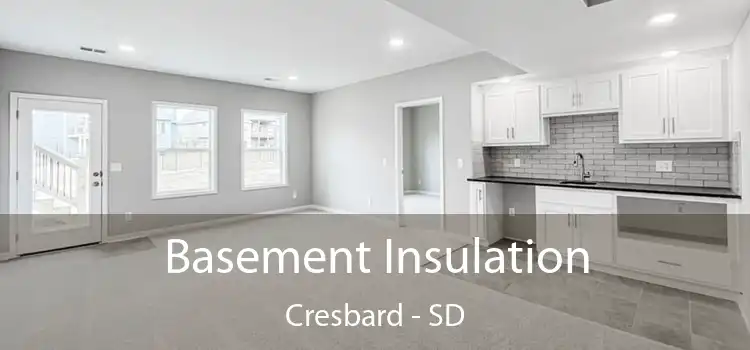 Basement Insulation Cresbard - SD