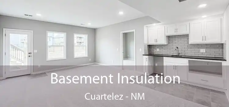 Basement Insulation Cuartelez - NM