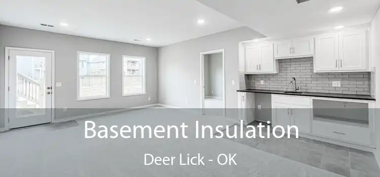  Basement Insulation Deer Lick - OK