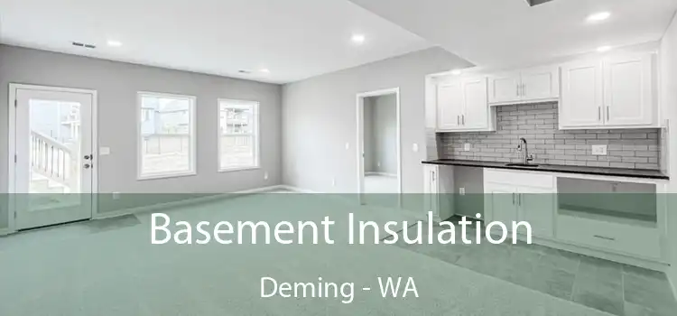 Basement Insulation Deming - WA