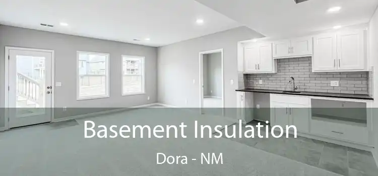 Basement Insulation Dora - NM