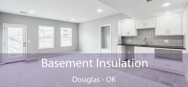 Basement Insulation Douglas - OK