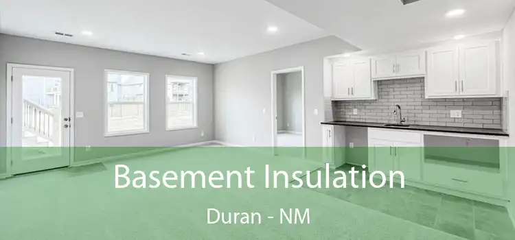 Basement Insulation Duran - NM