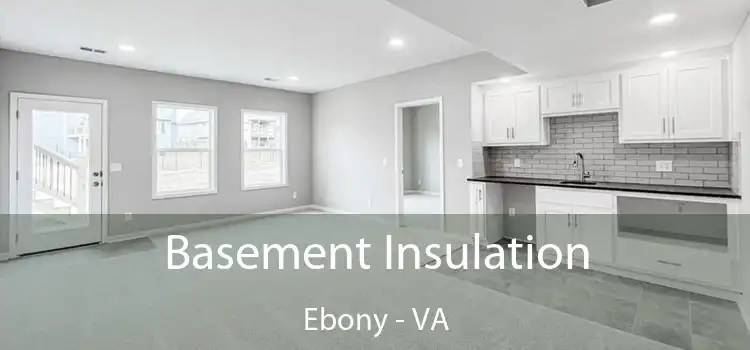 Basement Insulation Ebony - VA