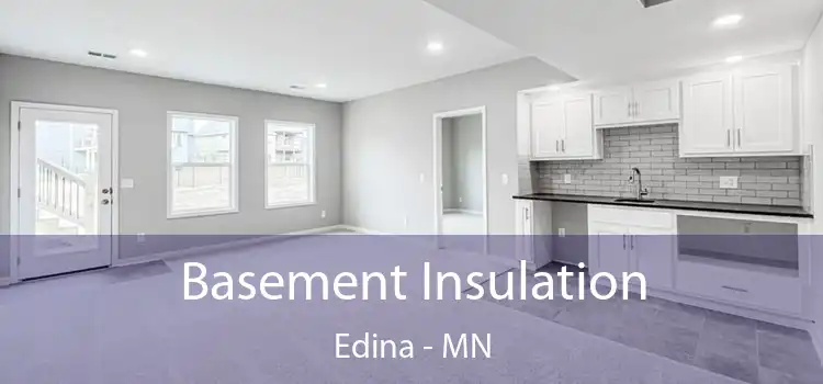 Basement Insulation Edina - MN