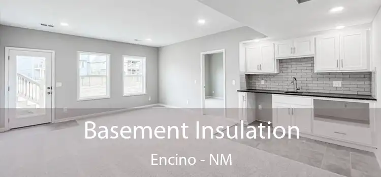 Basement Insulation Encino - NM
