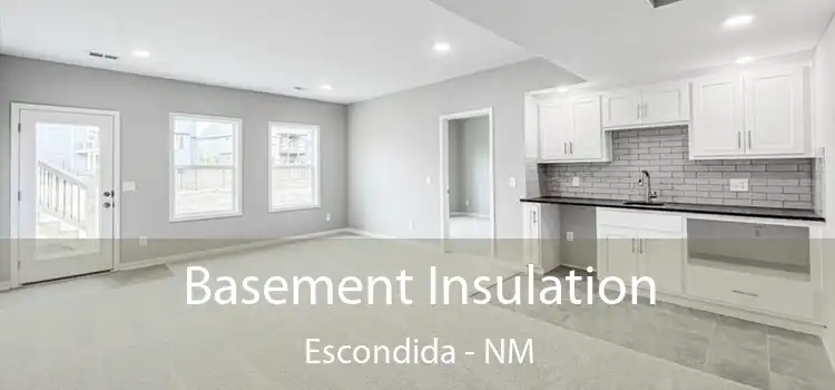 Basement Insulation Escondida - NM