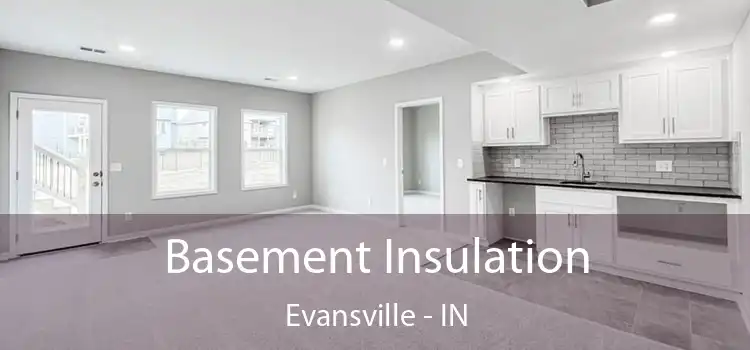 Basement Insulation Evansville - IN