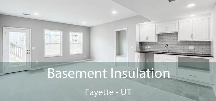 Basement Insulation Fayette - UT