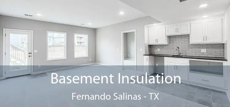 Basement Insulation Fernando Salinas - TX