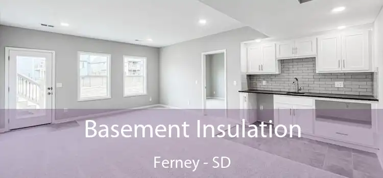 Basement Insulation Ferney - SD
