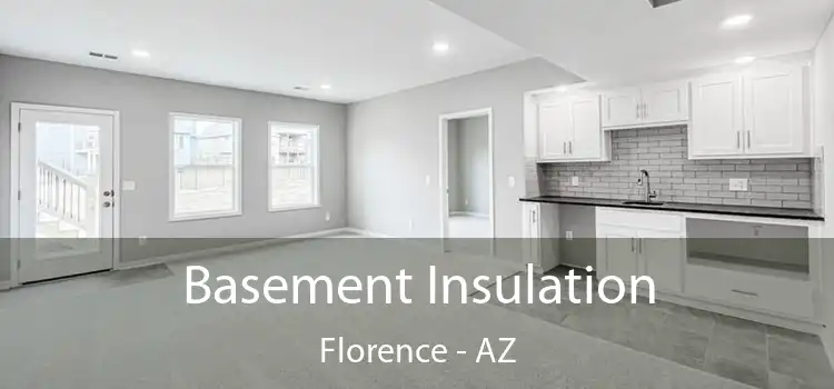  Basement Insulation Florence - AZ
