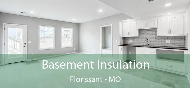 Basement Insulation Florissant - MO