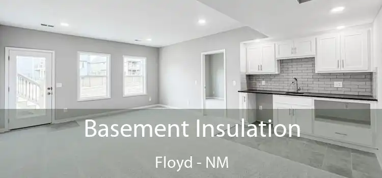 Basement Insulation Floyd - NM
