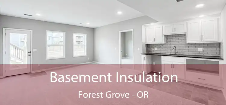  Basement Insulation Forest Grove - OR
