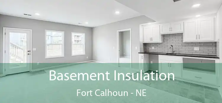  Basement Insulation Fort Calhoun - NE