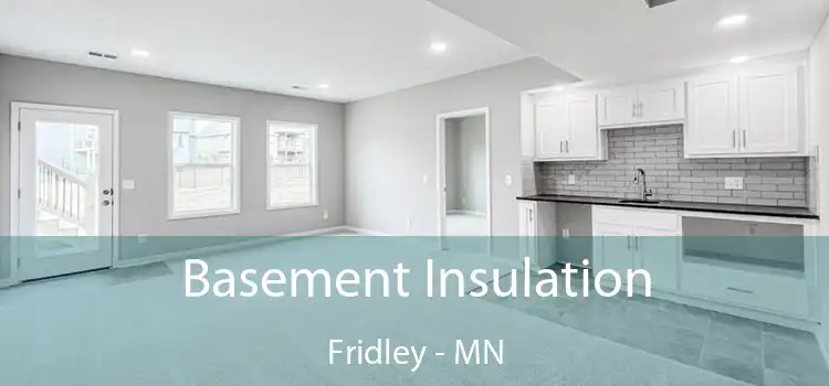  Basement Insulation Fridley - MN
