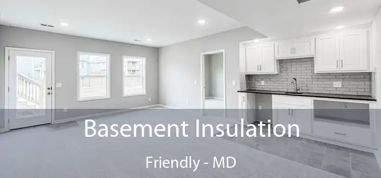 Basement Insulation Friendly - MD