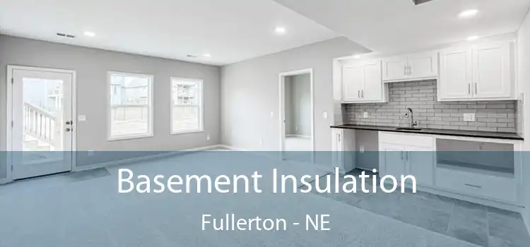Basement Insulation Fullerton - NE
