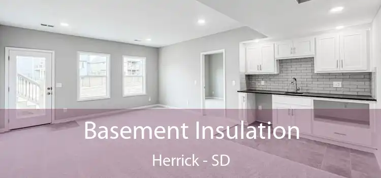 Basement Insulation Herrick - SD