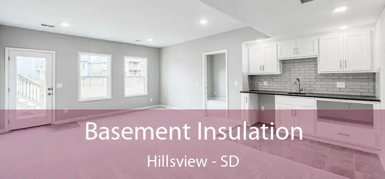Basement Insulation Hillsview - SD
