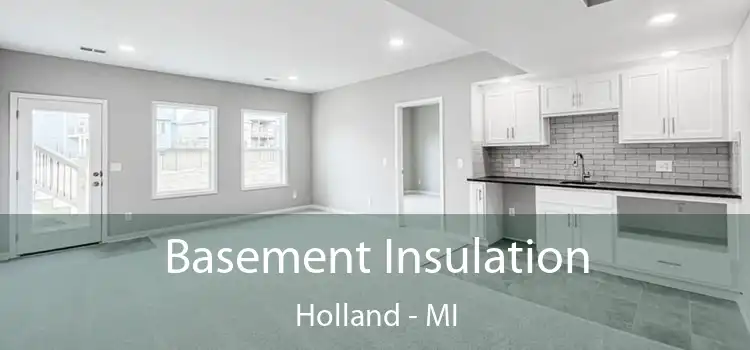 Basement Insulation Holland - MI