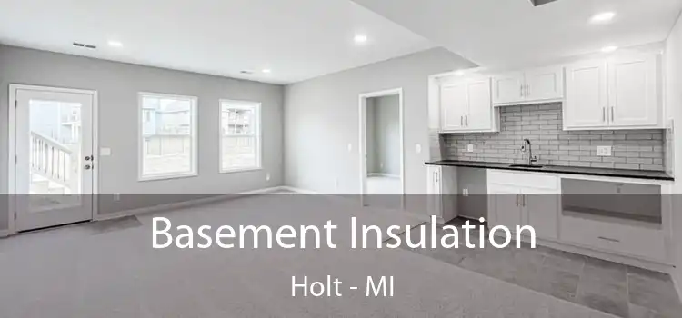  Basement Insulation Holt - MI