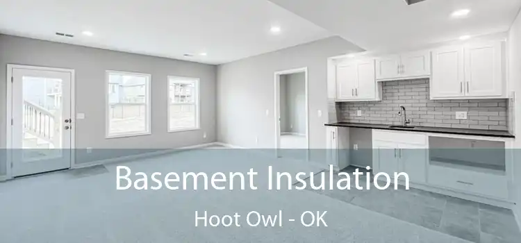 Basement Insulation Hoot Owl - OK