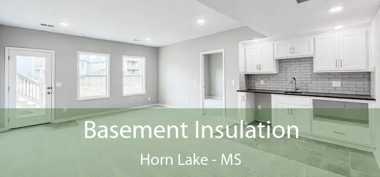 Basement Insulation Horn Lake - MS