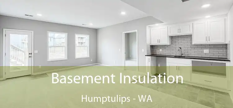 Basement Insulation Humptulips - WA