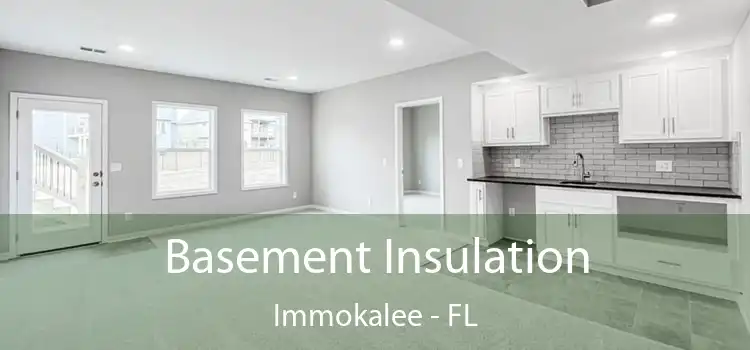 Basement Insulation Immokalee - FL