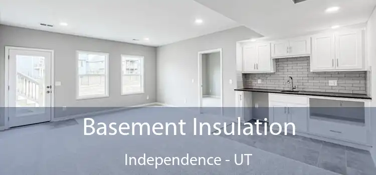 Basement Insulation Independence - UT