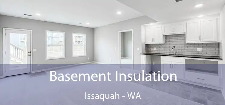 Basement Insulation Issaquah - WA
