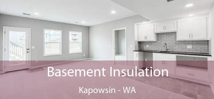 Basement Insulation Kapowsin - WA