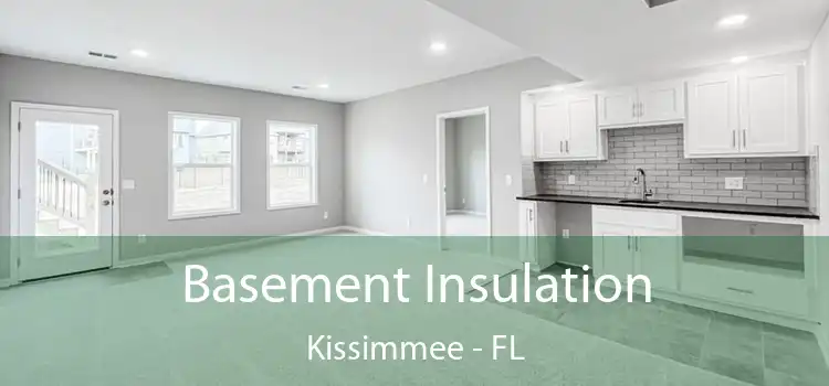 Basement Insulation Kissimmee - FL