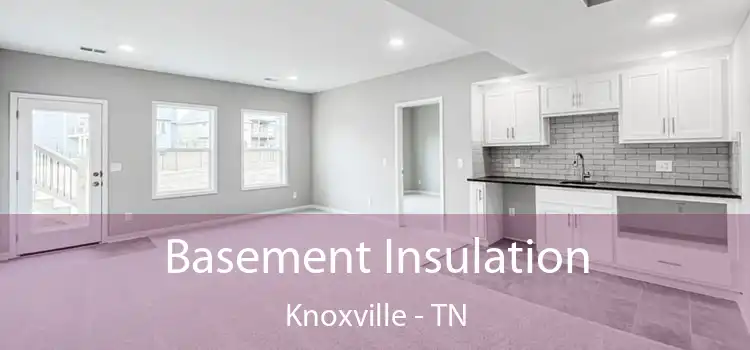 Basement Insulation Knoxville - TN