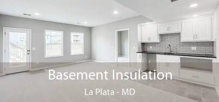  Basement Insulation La Plata - MD