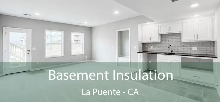  Basement Insulation La Puente - CA