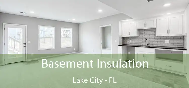 Basement Insulation Lake City - FL
