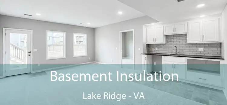 Basement Insulation Lake Ridge - VA